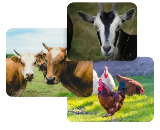 Care About Hero Image